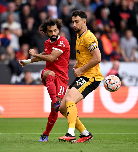 佩佩的表现 佩佩的表现